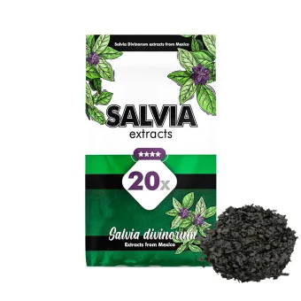 images/productimages/small/salvia-divinorum-20x-extract.webp